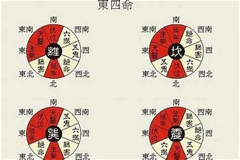 东四命|东四命是什么意思